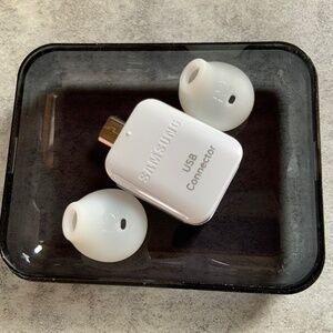 Samsung USB Connector, Ear Bud Covers and carrying Case